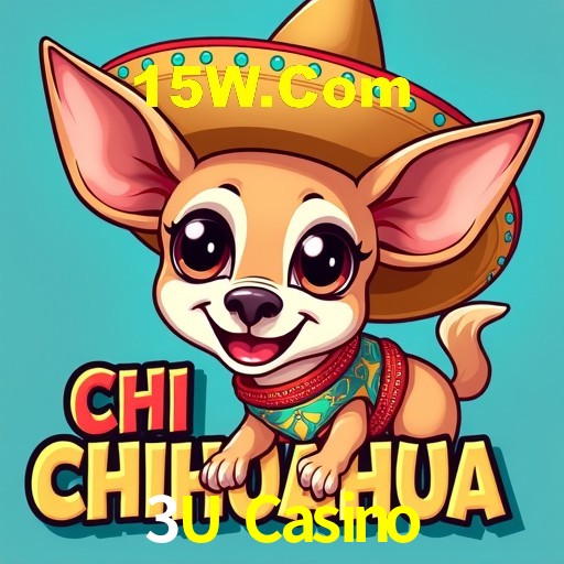 Interface Premium 3U Casino