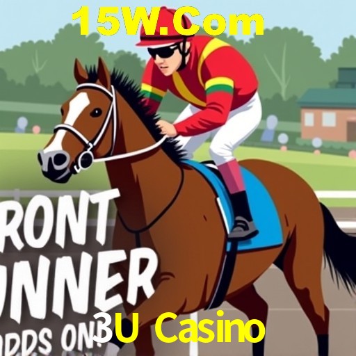 Secure Login 3U Casino